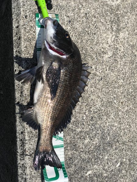 須磨ヨットハーバー沖一文字