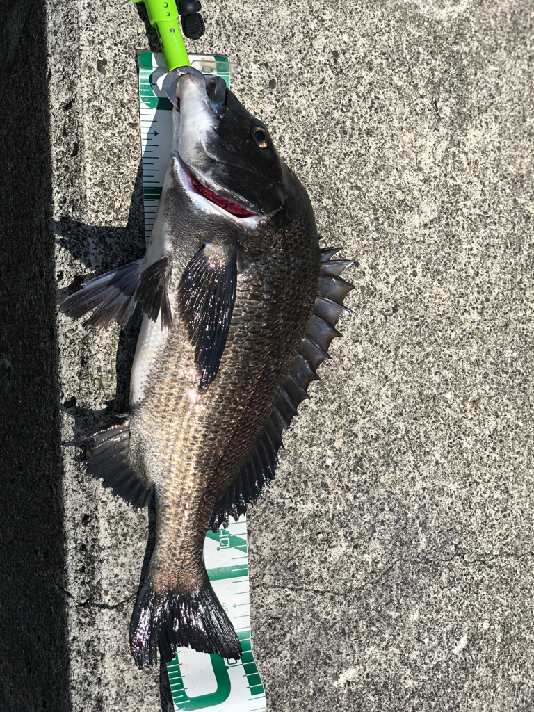 須磨ヨットハーバー沖一文字