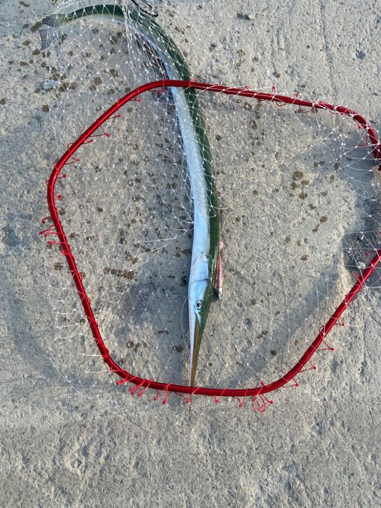 親子ライトショアジギング