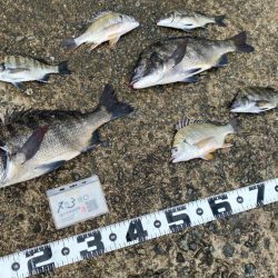 雨が降ったり止んだり