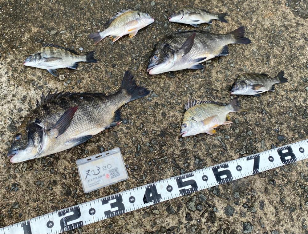 雨が降ったり止んだり