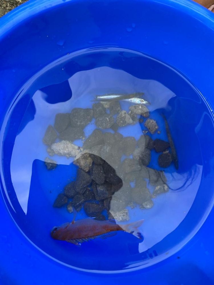 ファミリーフィッシング