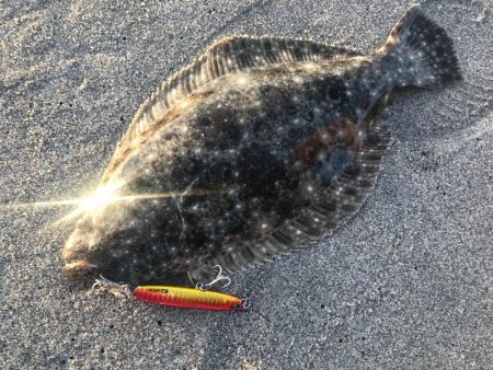 久しぶりのサーフでヒラメ