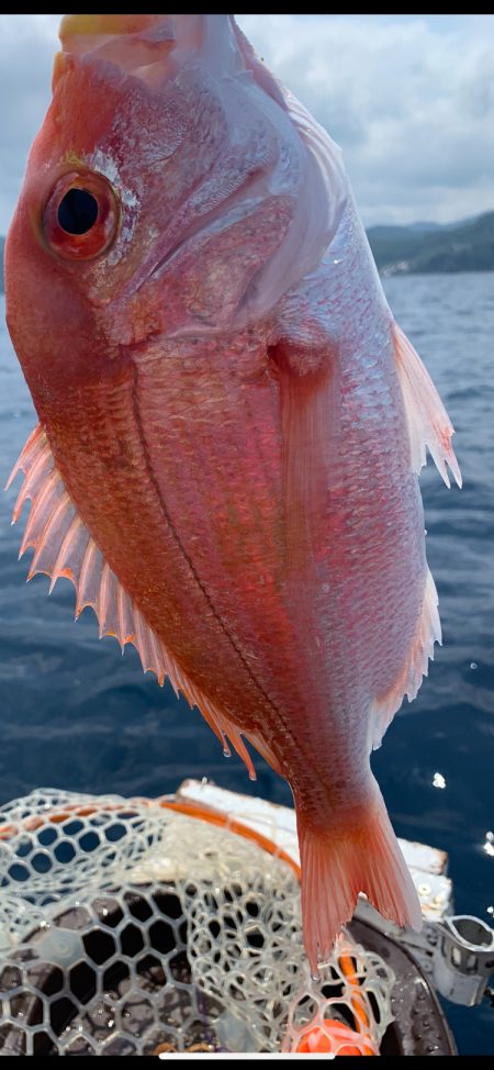 マイボートでアマダイ釣り