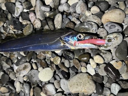 フリフリシャッド万能すぎ！