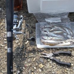 チョイ投げでキス釣り〜風が強い日は〜