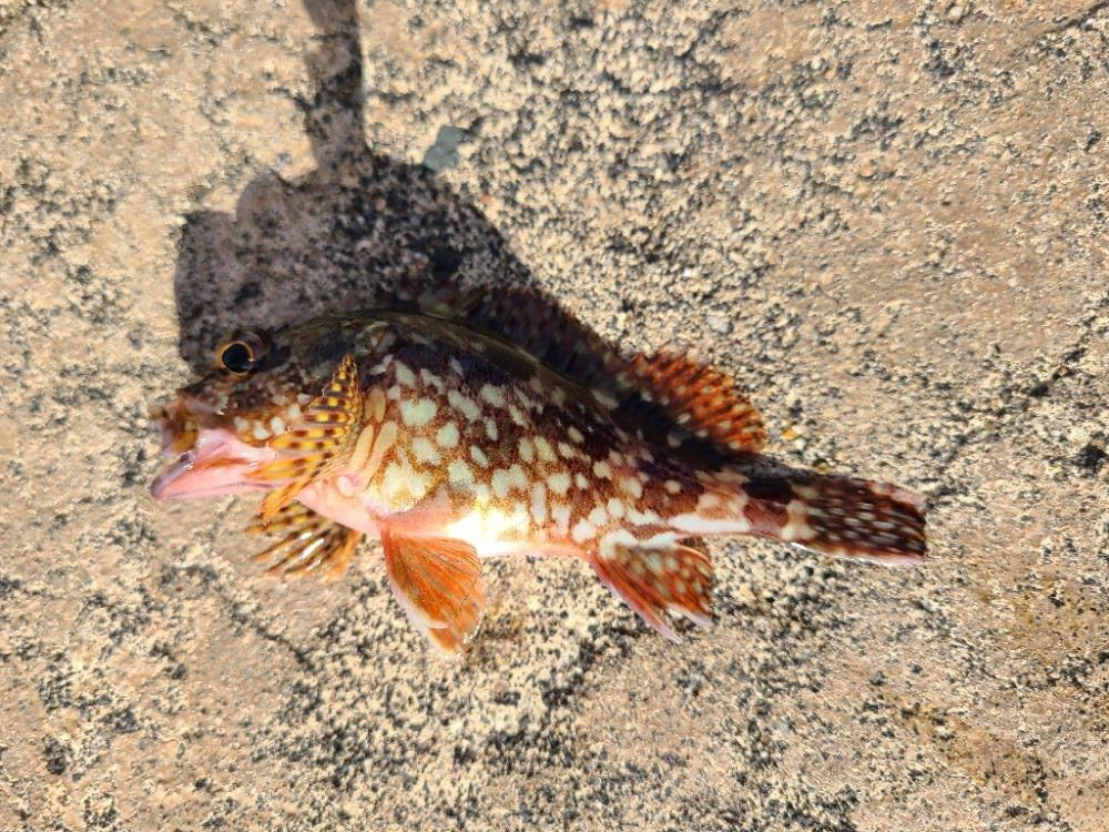 なかなか厳しい