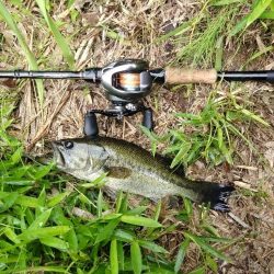 パンチショット