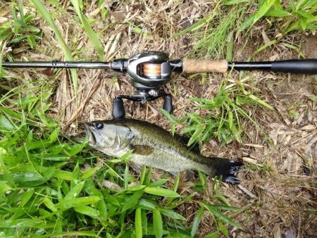 パンチショット