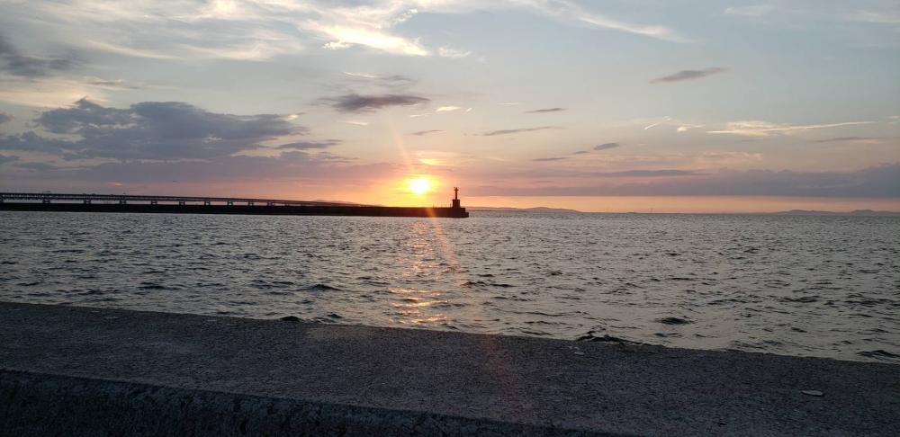 アジング@泉佐野