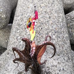 オクトパッシング 7