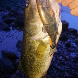 ビッグベイト縛り