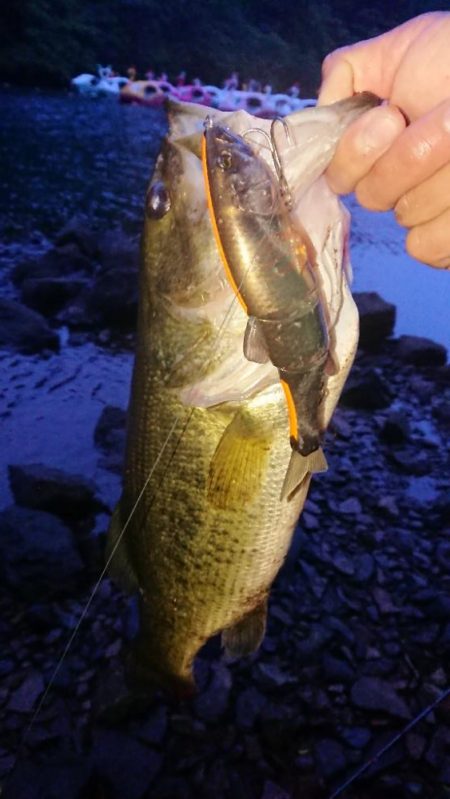 ビッグベイト縛り