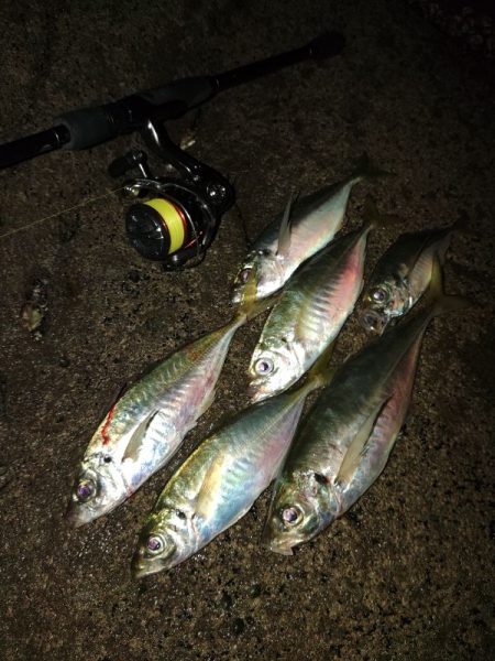 (尺アジ)フロートゲーム～