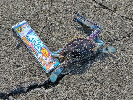 キスつりのはずが