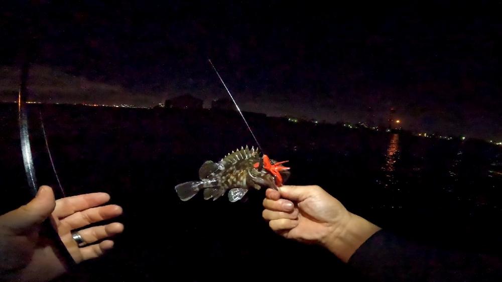 デッカサゴ！！！