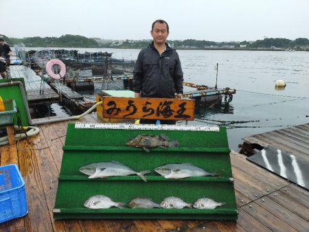 海上釣り堀　みうら海王