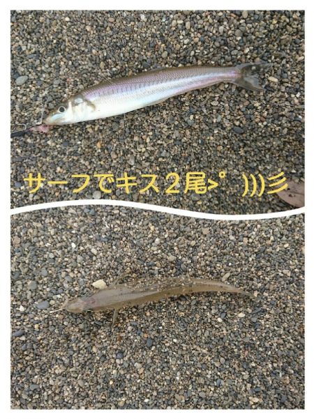 サーフでのんびりが豪雨に見舞われ…