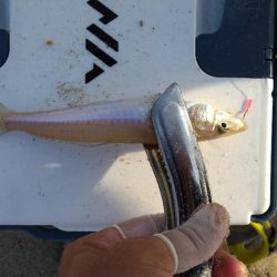 旅行先でもチョイ投げ