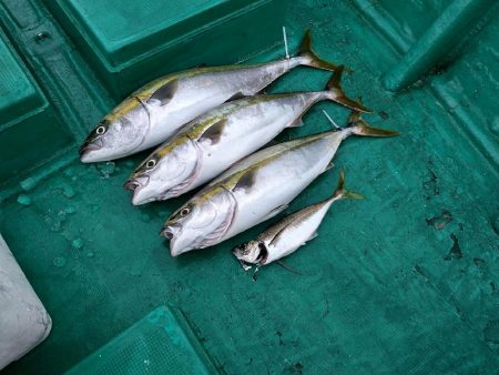 落とし込み(アンダーベイト)