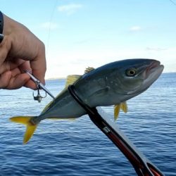 久々ショアジギ