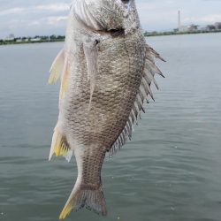 ボイルの正体はコイツ