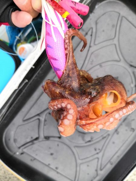 オクトパッシング 5