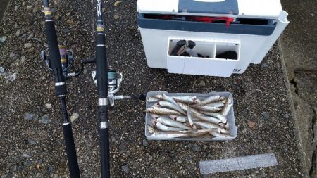 チョイ投げ〜激濁り編〜