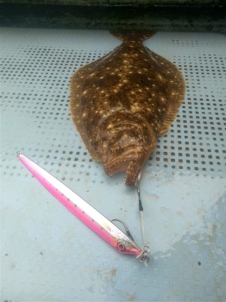 明石でジギング昼便で☆