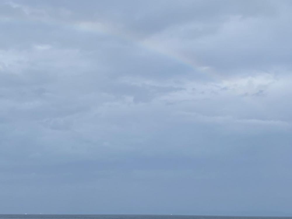 初場所でアジング