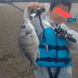 マゴチとセイゴとキビレ