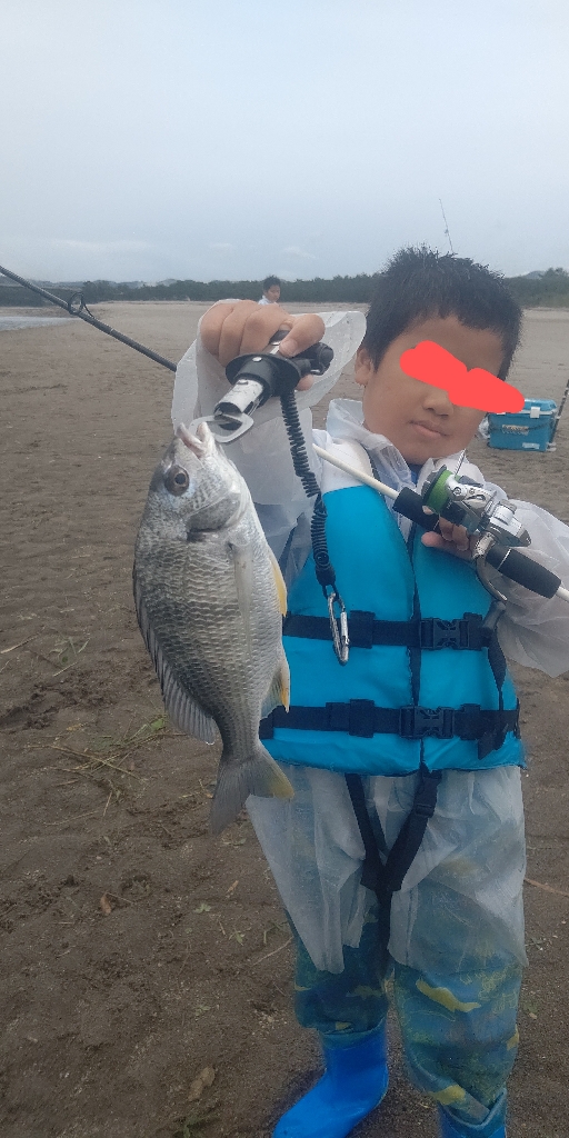 マゴチとセイゴとキビレ