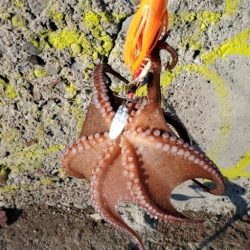 渋い渋い渋すぎる