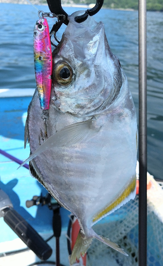 三重県レンタルボート
