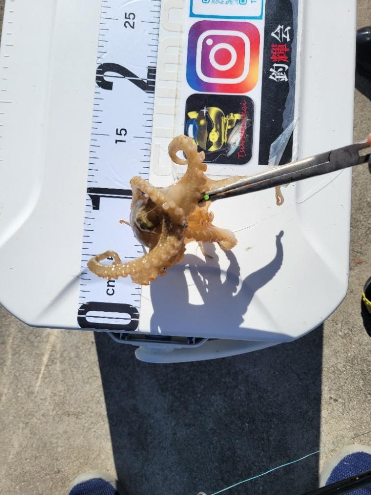 暑すぎて釣れる気がしない☀️😵💦