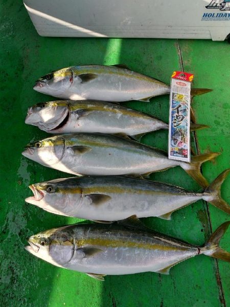 和歌山 加太 三邦丸さんで落とし込み便