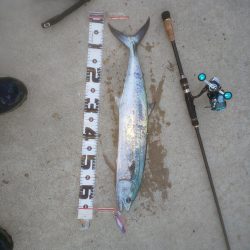 ﾀﾞｲｿｰｼﾞｸﾞ良い仕事しますね〜