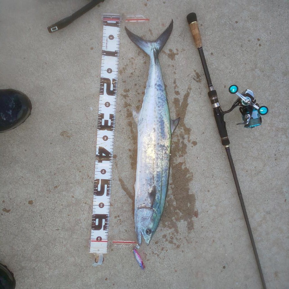 ﾀﾞｲｿｰｼﾞｸﾞ良い仕事しますね〜