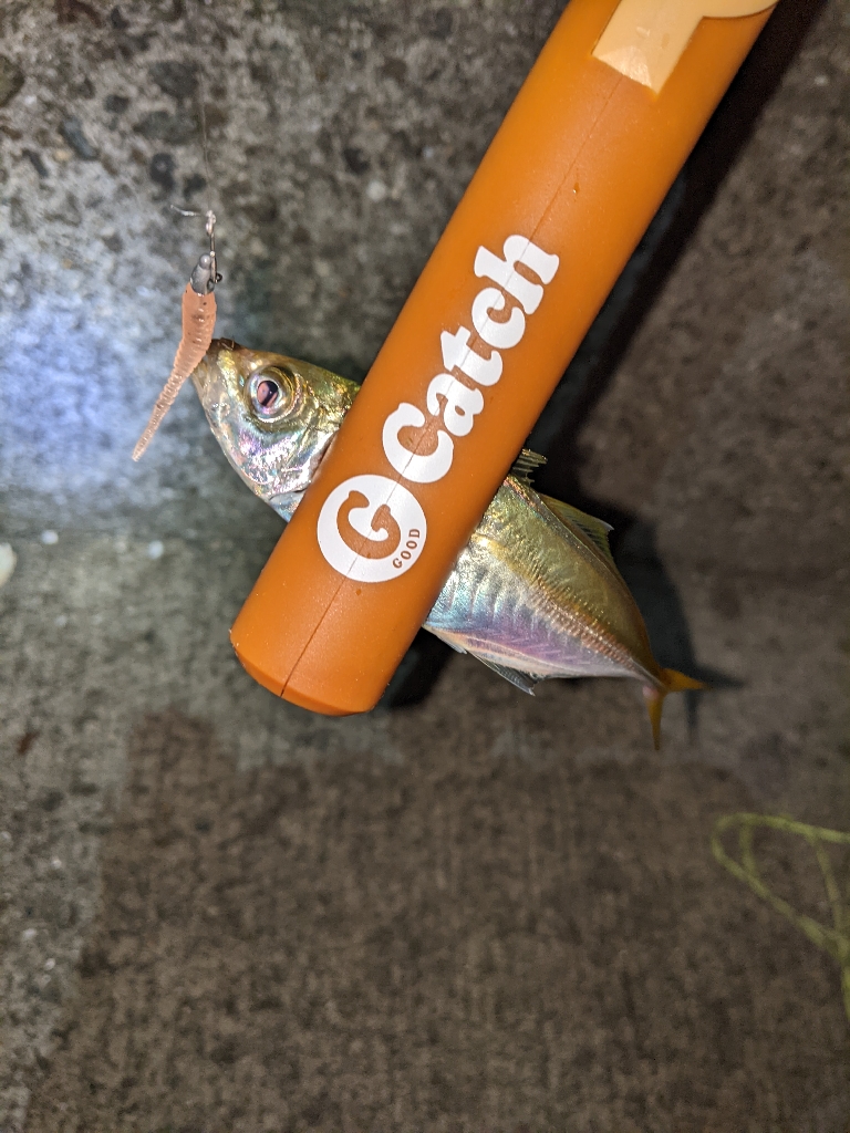 久々のエリアで久々のライトゲーム