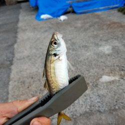 仕事終わりにいつもの場所で場所で