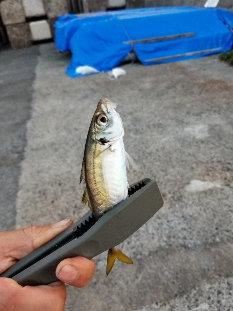 仕事終わりにいつもの場所で場所で