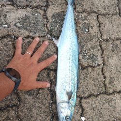 連敗記録更新するかと焦りました