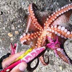 オクトパッシング 12