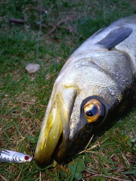 閑散とした夕マヅメに