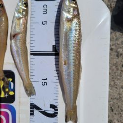 自己ベスト更新!