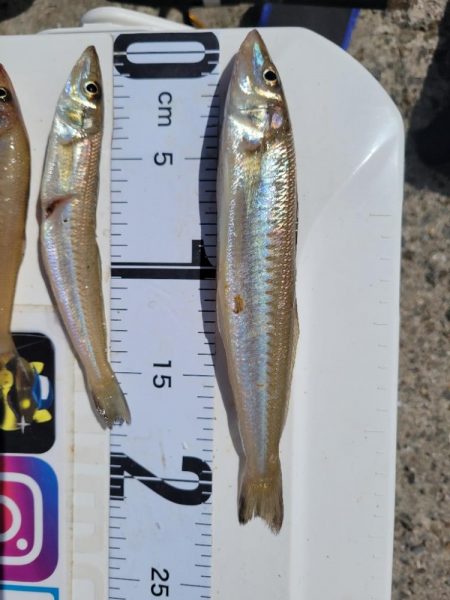 自己ベスト更新!