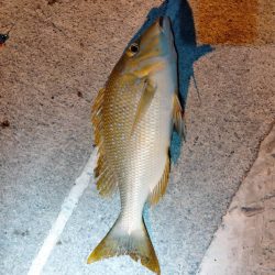 沖縄釣行最高のスタート!!