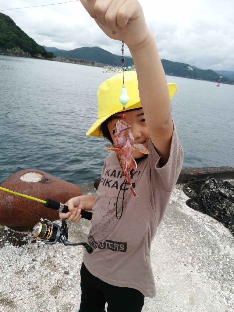 タコ釣れず根魚へ