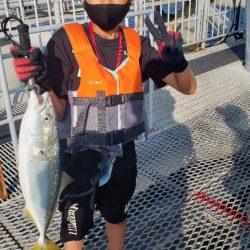 ハマチ釣れた‼️…