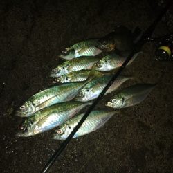 (尺アジ)フロートゲーム～